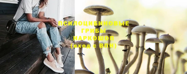бутират Балабаново